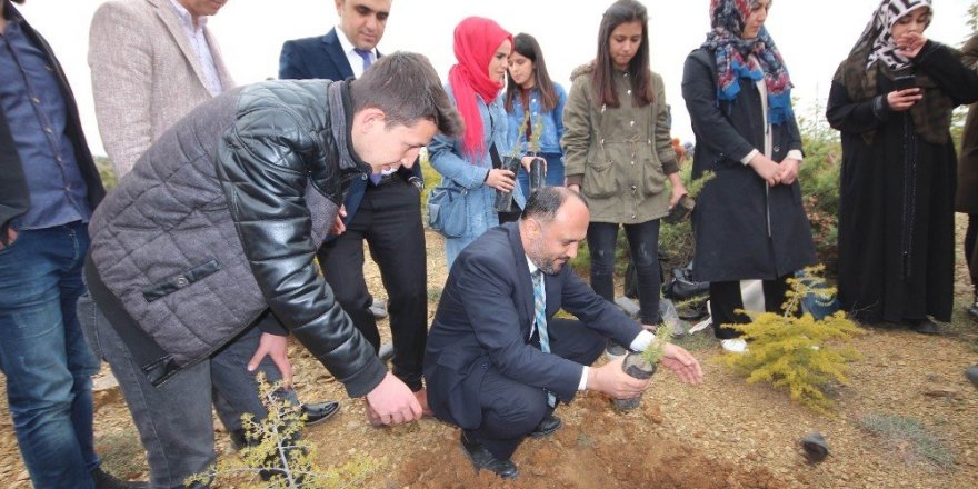 Beyşehir’de 2023 adet orman fidanı toprakla buluşturuldu