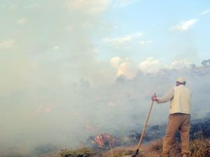 Yangında 80 hektar alan kül oldu