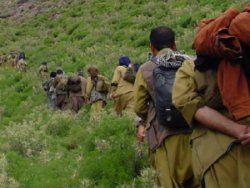 TSK açıkladı: PKK'nın elinde ne kadar silah var