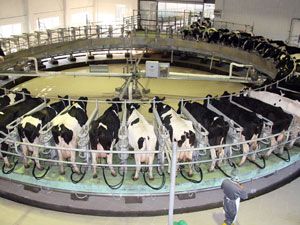 Sertifikalı tohumlukfiyatları düşürüldü