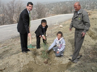 Hadim'de ağaç dikme seferberliği