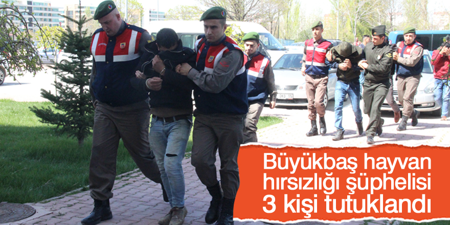 Büyükbaş hayvan hırsızlığı şüphelisi 3 kişi tutuklandı