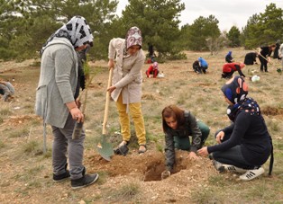 Meram'da kursiyerler fidan dikti