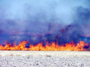 Anız yangınında 50 dekarlık arazi yandı