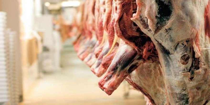 Türkiye resmen domuz eti ithal ediyor