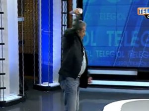 Toroğlu, Terim olursa...