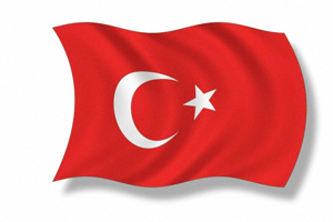 Türk tarihi ırk değil dava tarihidir
