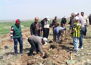 Beyşehir'de ağaç dikme şöleni