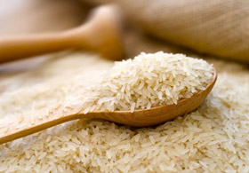 GDO'lu pirinç raporunda şok sonuç