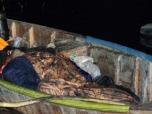 Balık kavgası kanlı bitti: 4 yaralı