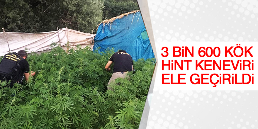 Konya'da uyuşturucu operasyonu