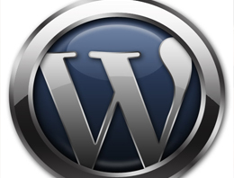 WordPress sitesi saldırılara karşı nasıl korunur?