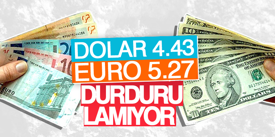 Dolar/TL, 4.40'ı geçerek rekor kırdı