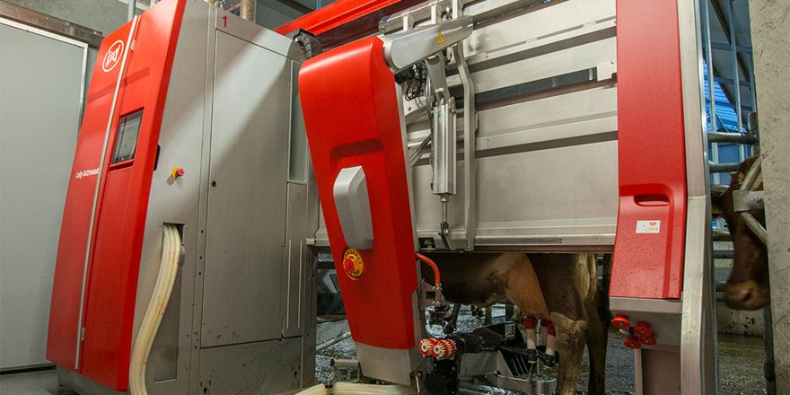 "Süt işletmelerinin tercihi Lely Otomatik Süt Sağım Sistemleri"