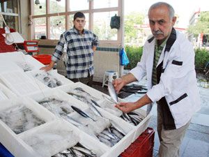 Sezonun ilk balıkları tezgâhlarda