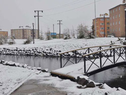 Bitlis'te lapa lapa kar yağdı