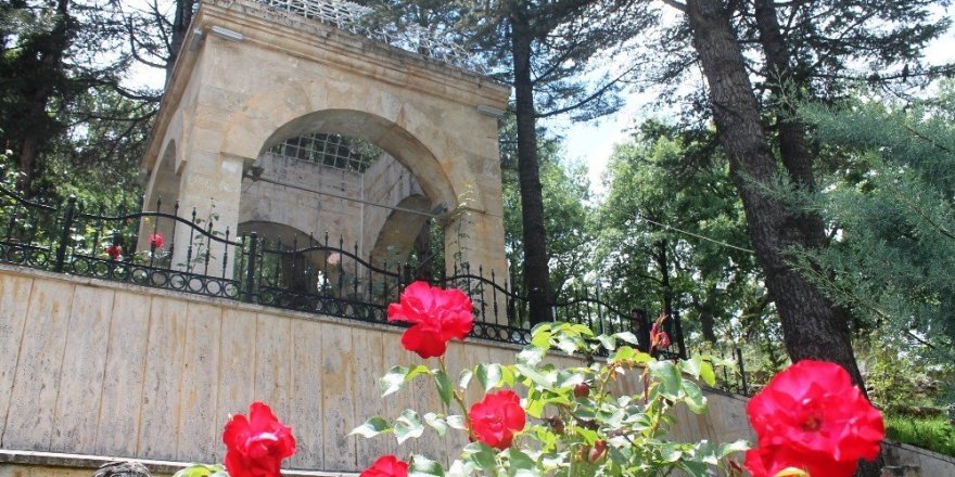 Muhammed Hadimi Hazretleri Türbesi’ne ziyaretçi akını