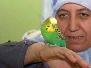 Bu kuş süre okuyor!