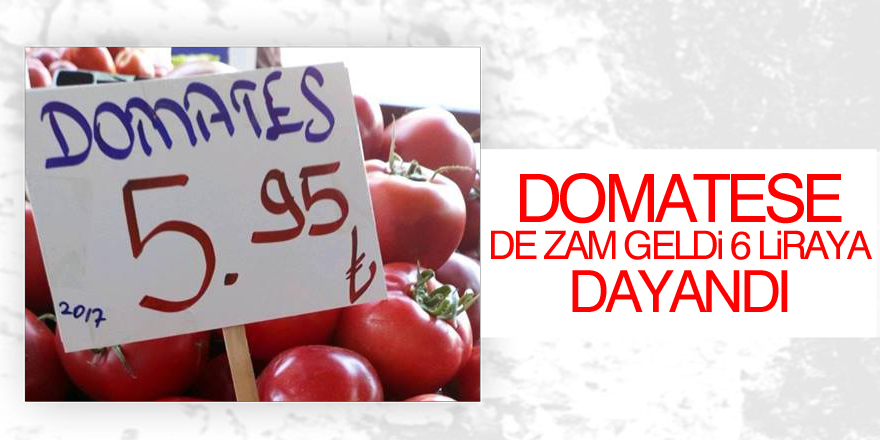 Domatese de zam geldi 6 liraya dayandı