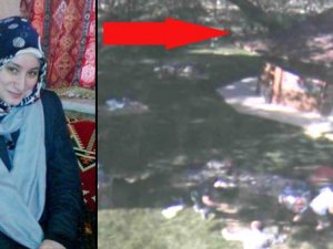Piknik yapanların üzerine ağaç devrildi