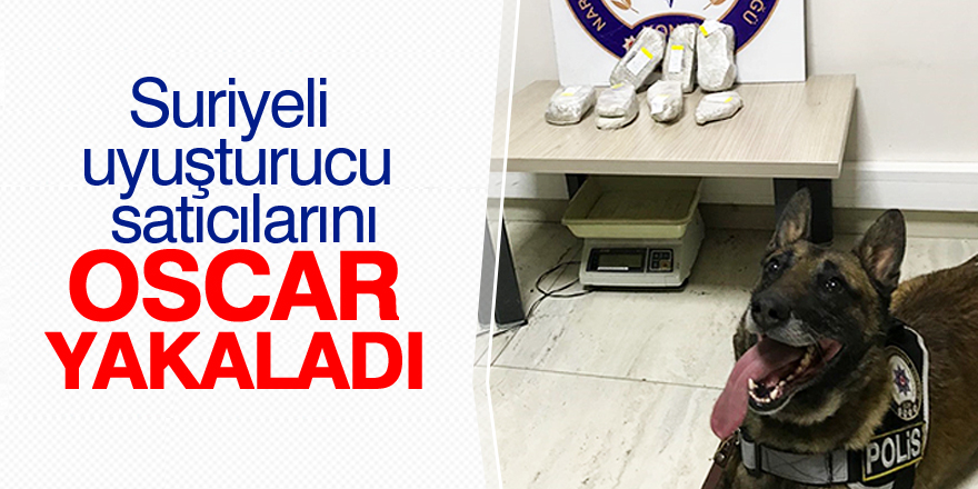 Narkotik köpeği tepki verdi, zulalardan esrar çıktı