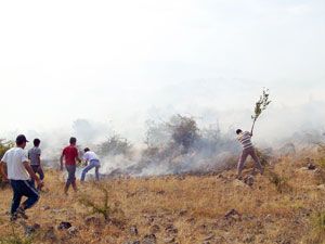 Seydişehir’de 50 hektar meşelik alan yandı