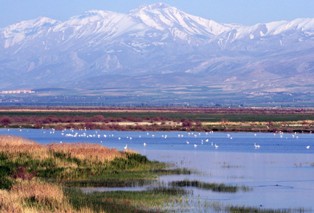 Köylüler Akgöl'ün önünü kestiler!