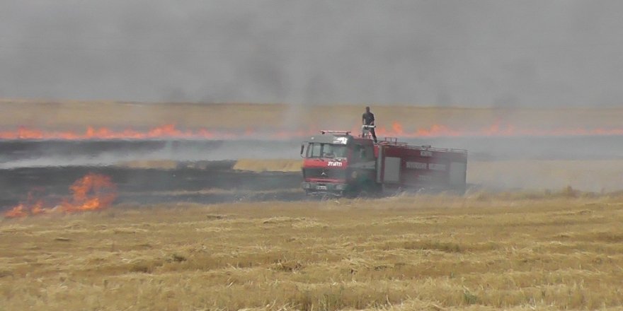 Karga anız tarlasını yaktı