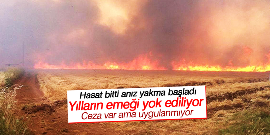 Geleceğinizi yakmayın!