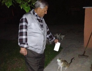 'Nankör kedi' sahibini ıssırdı!
