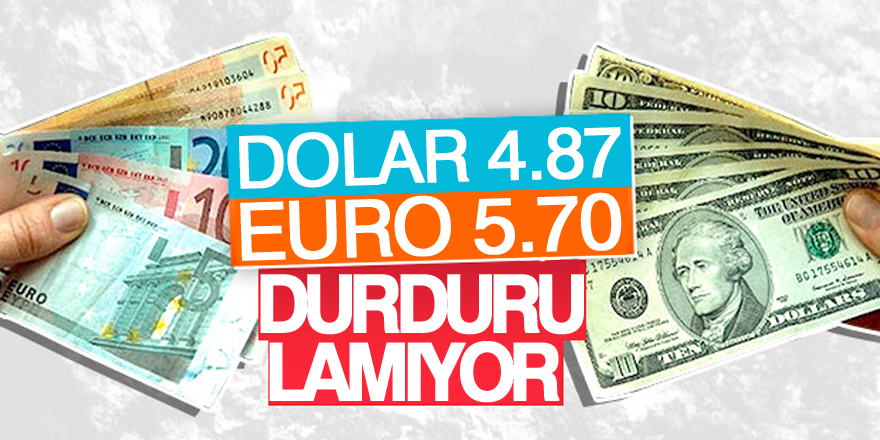 Dolar/TL, 4.87 seviyesinde