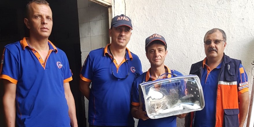 Su kuyusuna düşen kedi yavrusunu AFAD ekipleri kurtardı