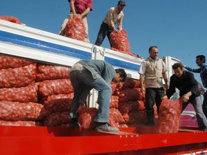 Seydibey Tarım’da kampanya dönemi