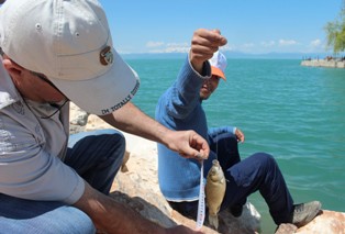Beyşehir Gölü'nde balık tutmak yetmiyor!