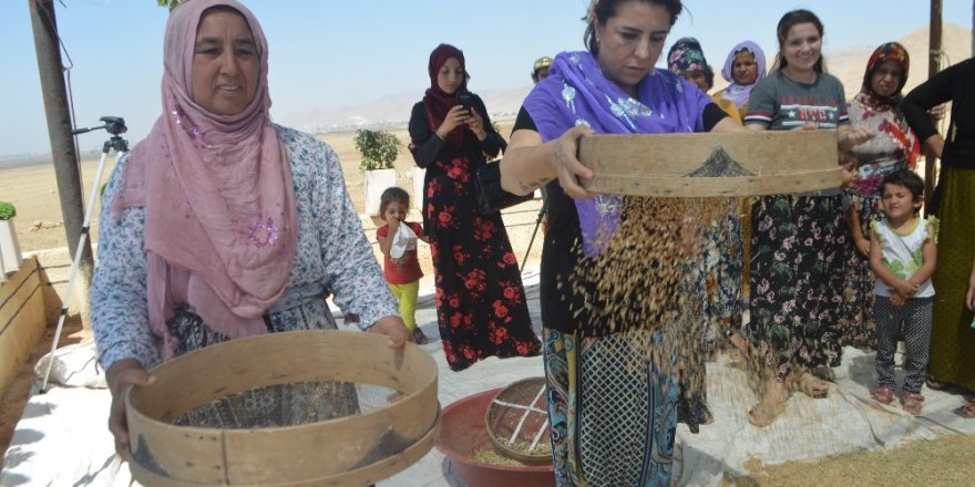 Kuraklığa Mezopotamya topraklarının ’sorgül’ü çözüm olacak