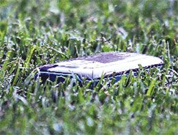 Fenerbahçe’ye ceza yolda!