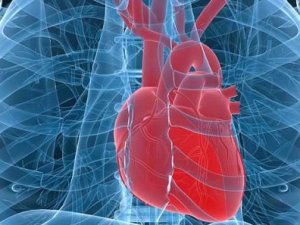 Kalp pilleri ani ölümleri önlüyor