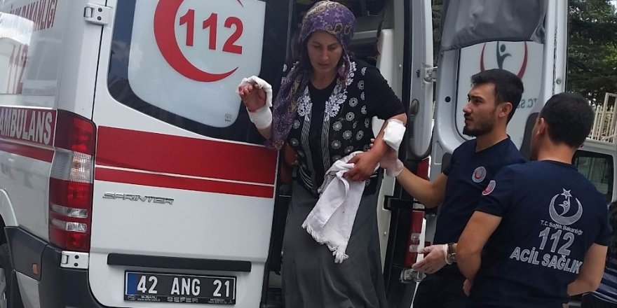 Beslediği köpek hastanelik etti