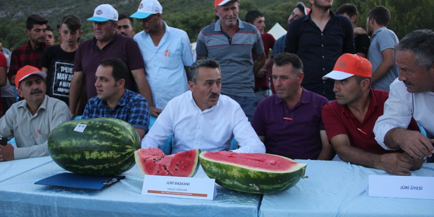 Seydişehir'de karpuz yarışması