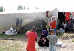 Cihanbeyli'de tarım işçilerinin çadır çilesi
