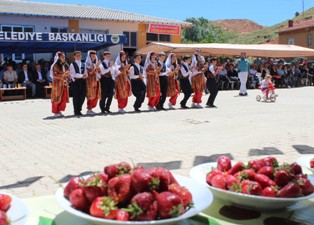 Çilek şenliğinden renkli görüntüler
