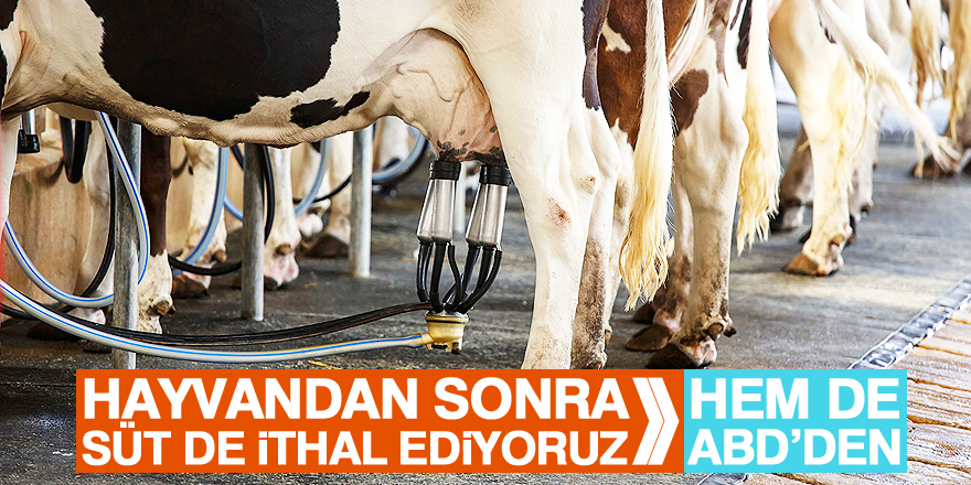 Türkiye, ABD'den süt ürünleri ithal etmeye başlayacak