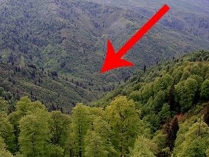 Türkiye'nin ilk biyosfer rezerv alanı Artvin'de