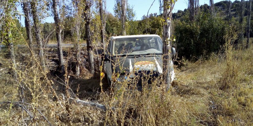 Beyşehir'de minibüs ağaçlara çarptı: 3 yaralı