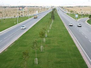Konya’da bozkıra yeşil kuşak