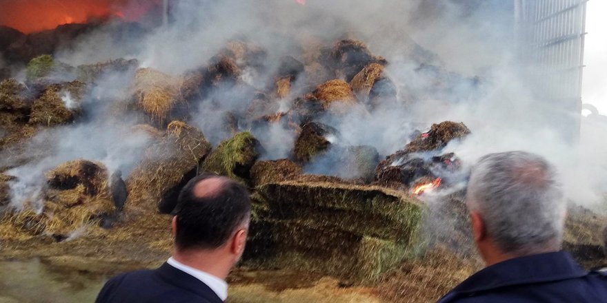 Konya’da besi çiftliğinde yangın