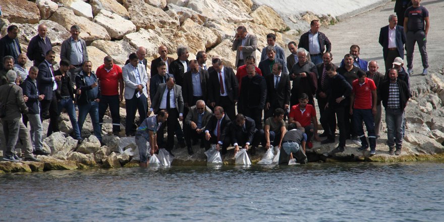 Beyşehir Gölü’ne 500 bin yavru sazan takviyesi