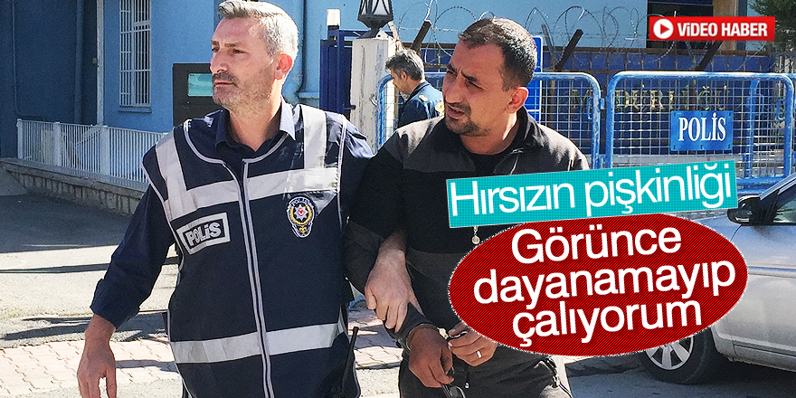 Zanlıdan "Görünce dayanamayıp çalıyorum" savunması
