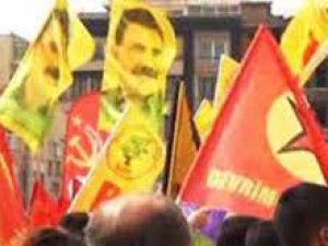 Apo flaması Gezi Parkı'nı karıştırdı