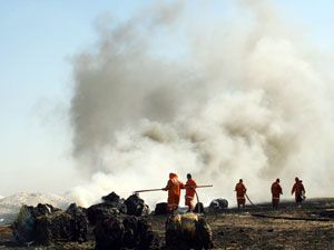 Çöplükte çıkan yangın korkuttu 